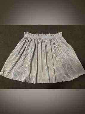 Metallic Silver Pleated Women's Skirt